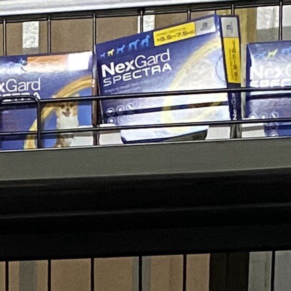NexGard Spectra packs on the parasite prevention shelf at Cambovet